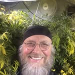 Ted Brannon - @satchiscannabisgarden - Instagram