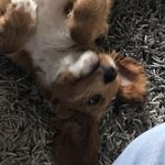 Tedzzz - @tedzz.brewster - Instagram