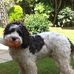 Ted Bright - Facebook