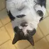 tedbrindle587 - @tedbrindle587 - TikTok