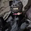 Ted - @ted_bristow - TikTok