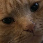 TedBrock - @gingertabtedbrock_ - Instagram