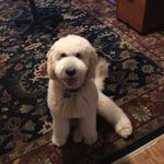 Teddy Brockman - @teddy_that_boi - Instagram