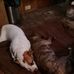 Ted Bronson - Facebook