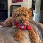 Ted Brooke - @tedlbrooke - Instagram