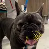 bruce_baruck_ted_milk - @bruce_baruck_ted_milk - TikTok