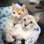 Bruce,Ted e Nina - @bruce.ted_ - Instagram