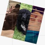N,J,D 💗 - @ted_bruce_stan.xox - Instagram