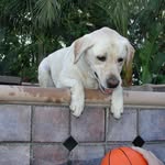 Ted Bruce - @tedbruce12 - Instagram