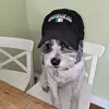 Ted Bruce - @ted.bruce5 - TikTok