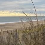 Ted Schonbrunner - @tedschonbrunner - Instagram