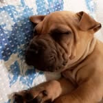 Ted Bruno - @oprincipeted - Instagram