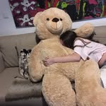 Ted Bruno - @o_tal_de_ted_bruno - Instagram