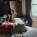 Ted Bryan - Facebook