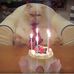 Ted Bryan - Facebook