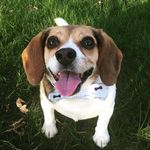 Ted Hickory Buckridge - @ted_buckridge - Instagram