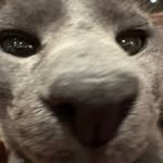 buckin’ ted - @eastcoast.rustler - Instagram