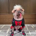 Teddy Buckles - Facebook