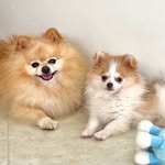 Ted & Buddy - @ted_e_buddy - Instagram
