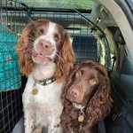 Ted & Buddy’s Adventures - @teddy__and__buddy - Instagram