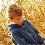 Ted Budd - @budd.ted - Instagram