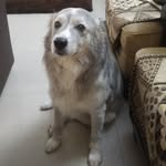 Ted Buddy - @tedendra_baahubuddy - Instagram