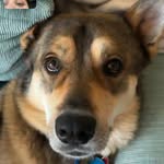 Ted - @your_buddy_ted - Instagram
