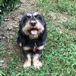 Teddy - @ted.budder - Instagram