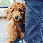 Teddy Cheriff Bullock - @teddybkdoodle - Instagram
