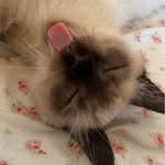 @tedbunchy - Instagram