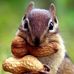 Ted Bundie - Facebook