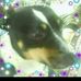 Ted Bunn - Facebook