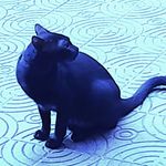 Tedbunnee - @tedbunnee - Instagram
