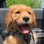 Ted Bear Burns - @goldenboytedb - Instagram