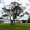 Ted Burns670 - @tedburns4 - TikTok