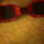 Teddy Burris - @teddy.burris.5 - Instagram