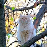 Tedbury - @tedburyruperts - Instagram