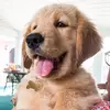 tuckerbudzyn - @tuckerbudzyn - TikTok
