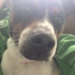 Ted Butler - @ted_butler4 - Instagram