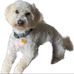 Teddy Butler - Facebook