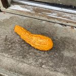 Ted Butts - @butts.ted - Instagram