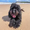 Teddo Byrne - @teddobyrne - TikTok