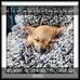 Theodore Cagle - Facebook