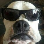 Ted Cain - @tedcain - Instagram