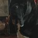 Ted Calvert - Facebook