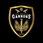 The Ignited Cannons - @theignitedcannons - Instagram