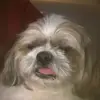 Teddy C - @teddycano - TikTok