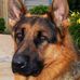 Ted Carey - Facebook