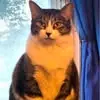 Ted Carey - @ted.carey4 - TikTok