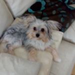 Josie + Teddy - @josie_teddg_carlisle - Instagram